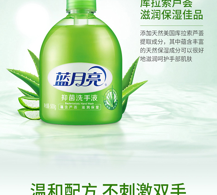 蓝月亮洗手组合芦荟瓶组+草莓儿童洗手液225g