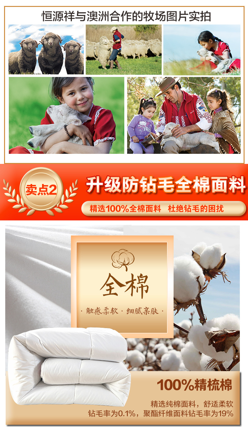 恒源祥家纺冬季保暖羊毛被 彩羊纯新羊毛被1DH1212