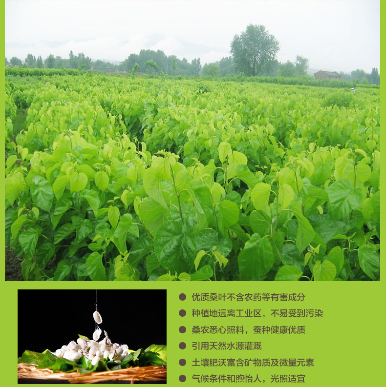 恒源祥家纺纤维被 沁雅桑被HYXB1011-1