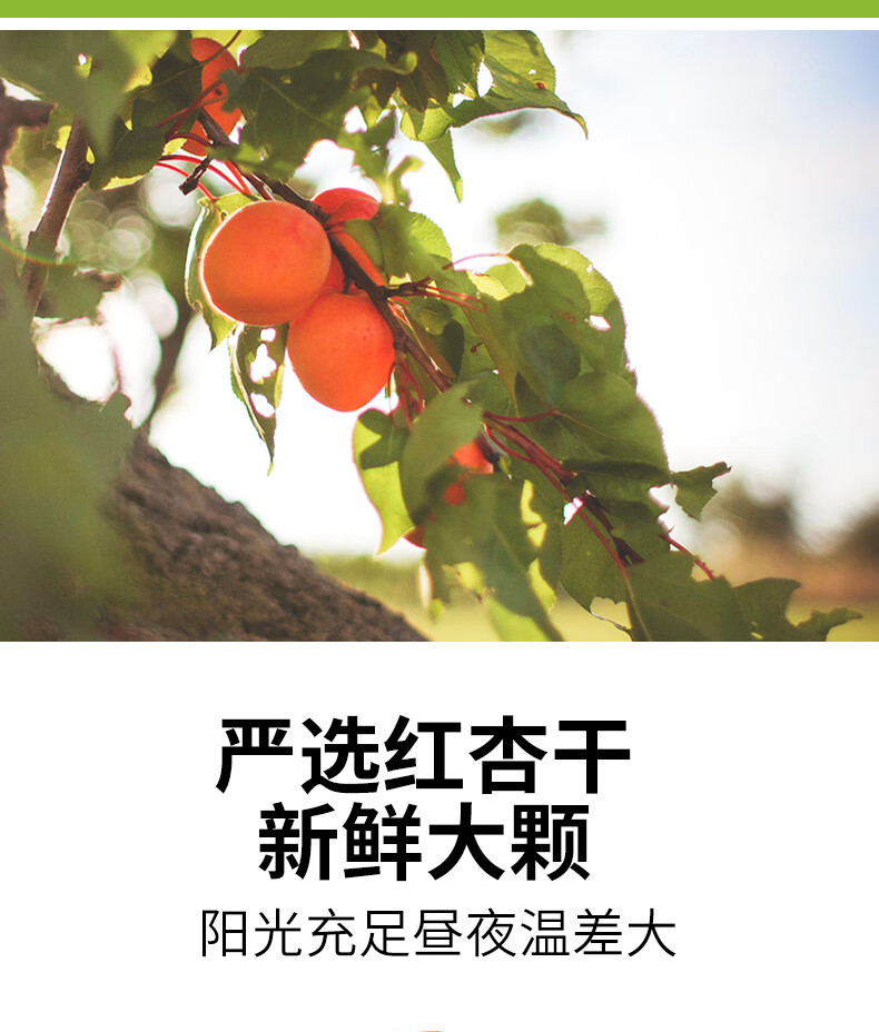鲜记 红杏干468g/罐 休闲零食蜜饯果脯水果干办公室零食