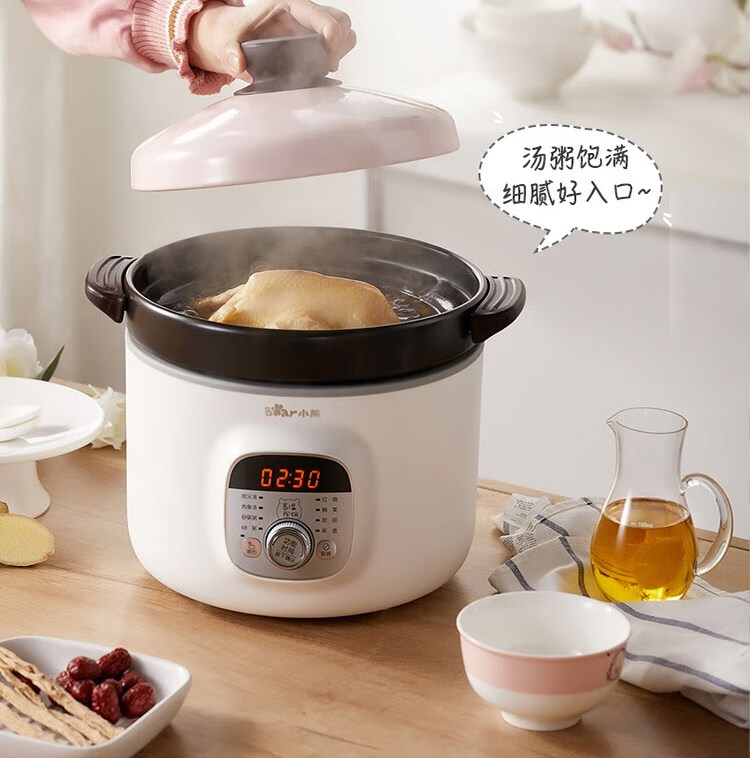小熊（Bear）电砂锅 电炖锅 DSG-B28C1煲汤锅炖汤锅煮粥锅电炖盅快炖锅宝宝辅食锅高温陶瓷