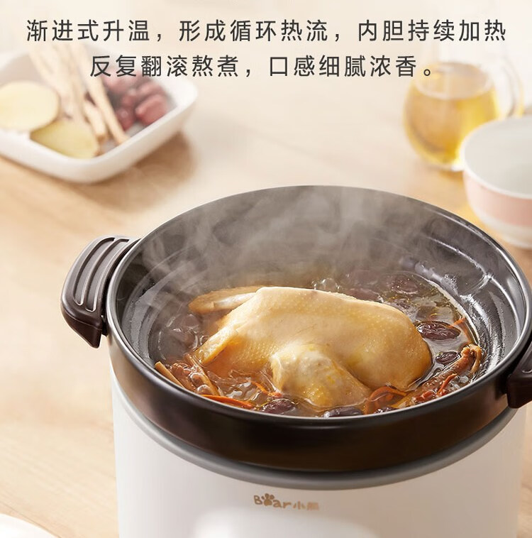 小熊（Bear）电砂锅 电炖锅 DSG-B28C1煲汤锅炖汤锅煮粥锅电炖盅快炖锅宝宝辅食锅高温陶瓷