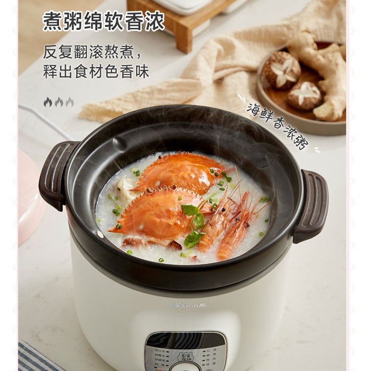 小熊（Bear）电砂锅 电炖锅 DSG-B28C1煲汤锅炖汤锅煮粥锅电炖盅快炖锅宝宝辅食锅高温陶瓷