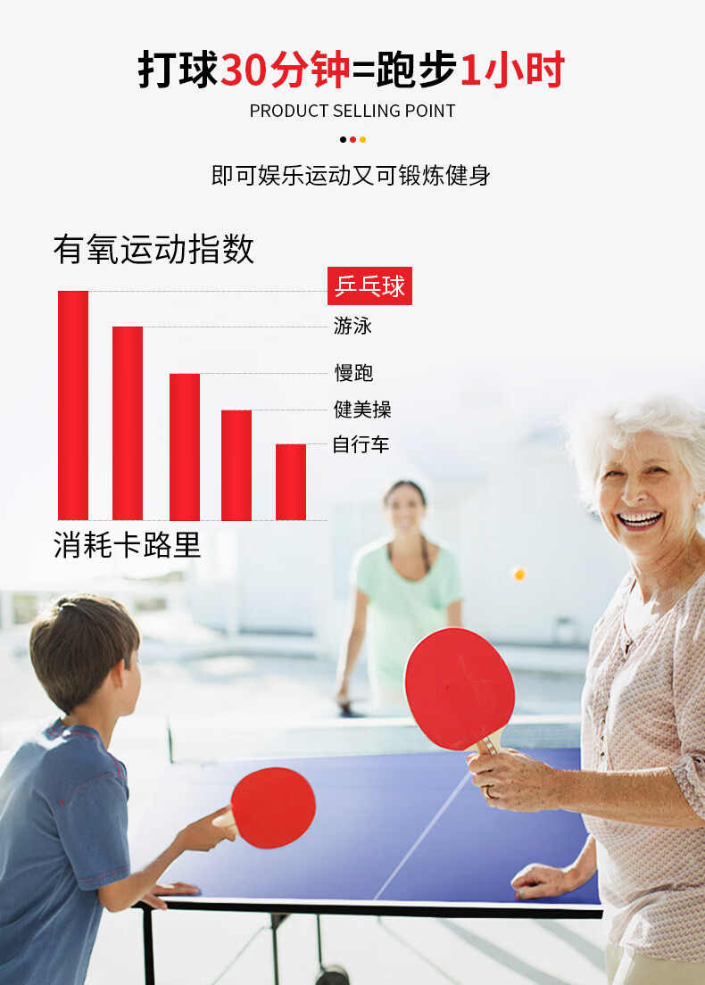 健伦（JEEANLEAN）JL3310 乒乓球桌室内家用可折叠式移动乒乓球台 标准乒乓球案子