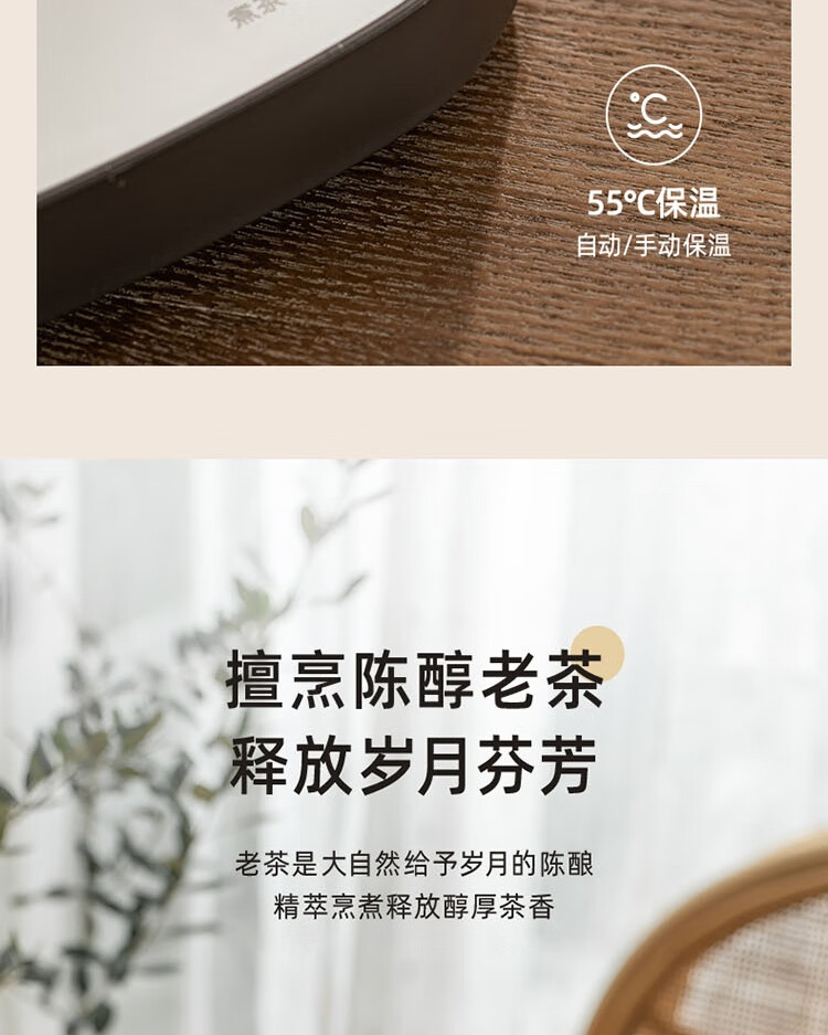 小熊（Bear）煮茶器 ZCQ-A05S1  0.5L蒸汽喷淋式电水壶 烧水壶 花茶壶 带茶杯+茶盘