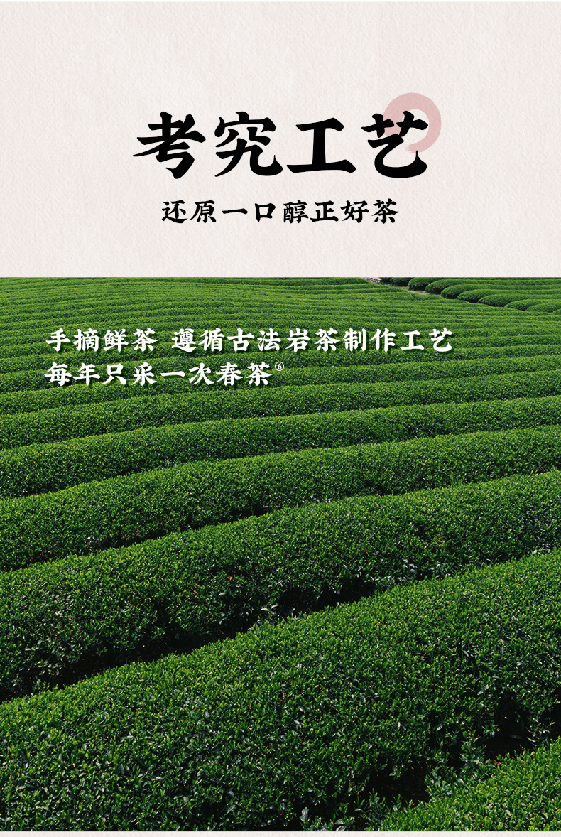 元气森林 膳食纤维醇香乌龙茶500ml*15 整箱装