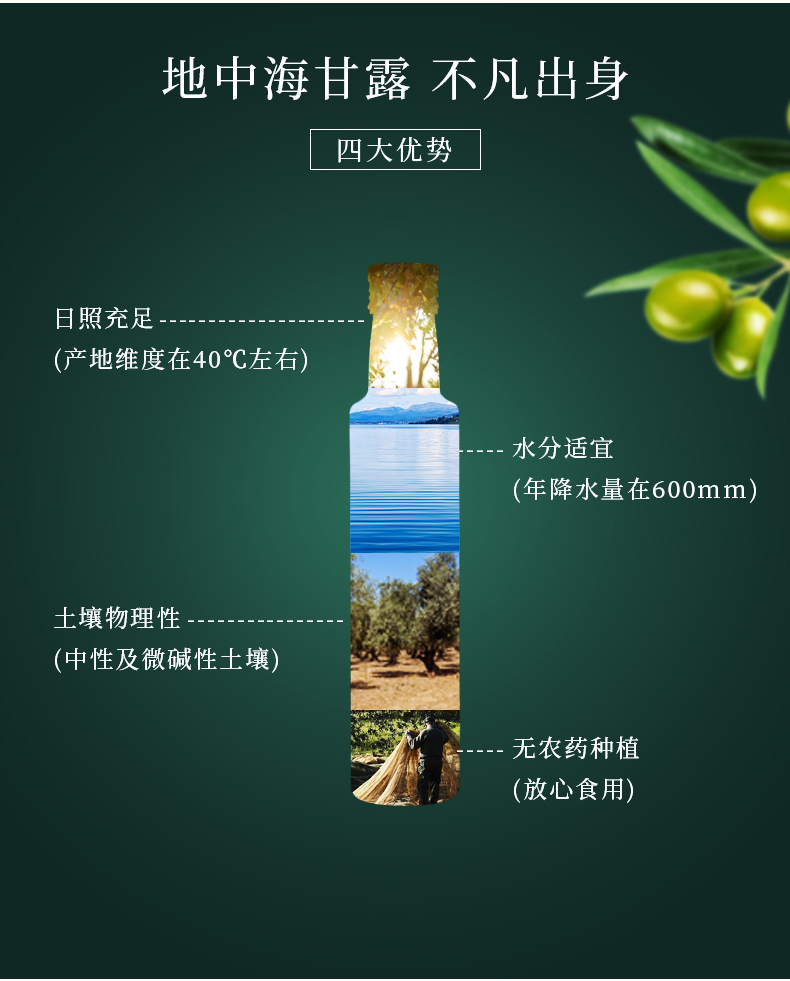 纳福汇食用油春节团购送礼佳品 恩纳尔特级初榨橄榄油礼盒750ml*2