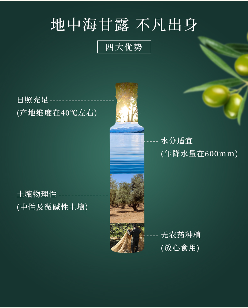 纳福汇食用油春节团购送礼佳品 恩纳尔特级初榨橄榄油礼盒500ml*2