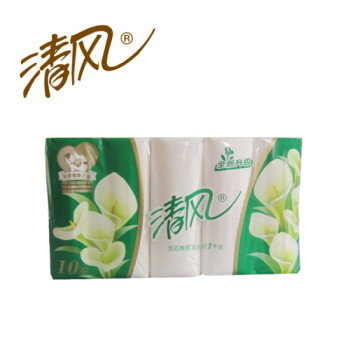 清风 无芯柔软卫生纸B01B卷筒纸巾无芯卷纸厕纸手纸2提1000g（绿）
