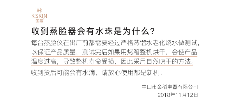 金稻 蒸脸器纳米喷雾补水仪美容仪加湿器蒸脸仪家用热喷蒸脸仪KD2331A