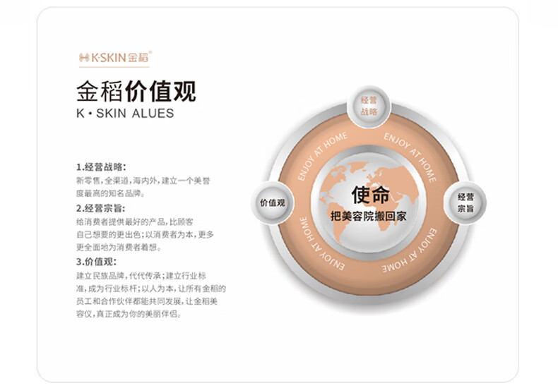 金稻 蒸脸器纳米喷雾补水仪美容仪加湿器蒸脸仪家用热喷蒸脸仪KD2331A
