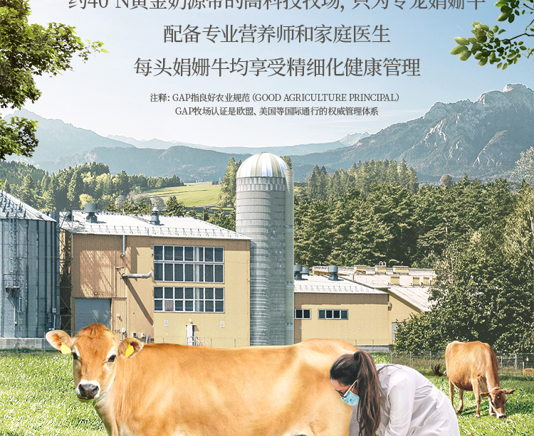认养一头牛珍稀娟姗牛3.8g优质蛋白纯牛奶250ml * 10盒*2提
