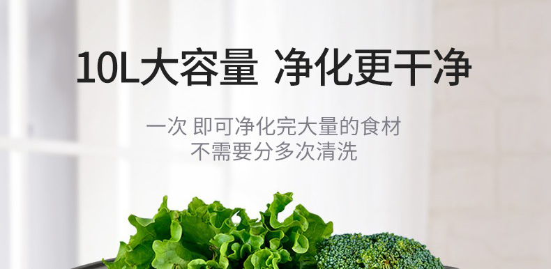 艾美特（Airmate）果蔬清洗机洁净机SX1006