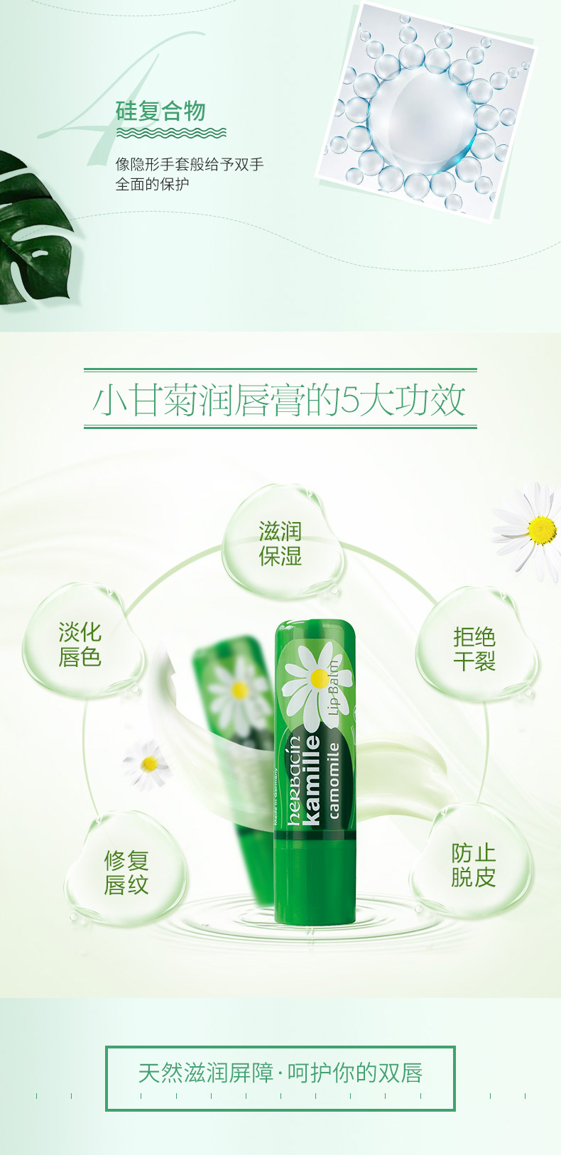 HERBACIN小甘菊护手霜补水保湿滋润男女秋冬滋养手霜修护唇膏+新经典护手霜组合装