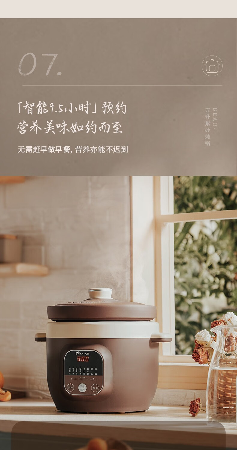 小熊（Bear）电炖锅  DDG-D50N1炖汤锅 电砂锅 紫砂锅 煮粥锅煲粥熬粥养生神器 可预约定时  5升