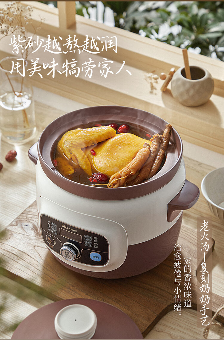 小熊（Bear）电炖锅 DDG-D40B1煲汤锅炖汤锅 电砂锅 紫砂锅 大容量煮粥锅电汤锅炖盅燕窝电炖盅4L
