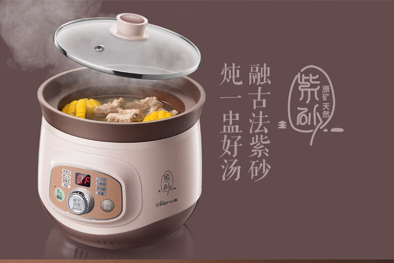 小熊（Bear）电炖锅DDG-D20T5 2L紫砂锅电炖盅陶瓷电砂锅 迷你小BB煲 宝宝婴儿煮粥煲汤锅