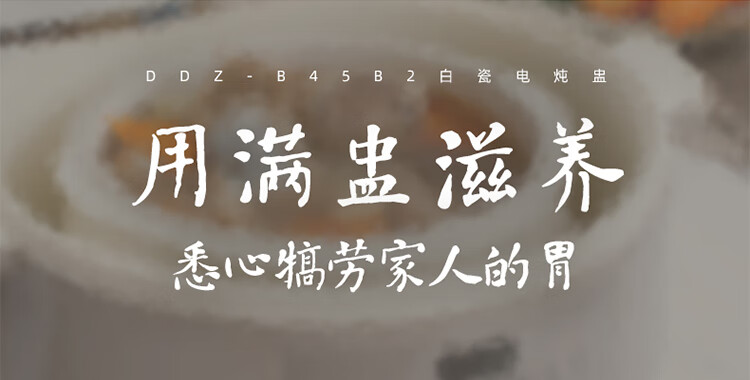 小熊（Bear）电炖锅DDZ-B45B2 电炖盅   白瓷炖锅 家用陶瓷电砂锅隔水炖 煮粥养生锅一锅5胆