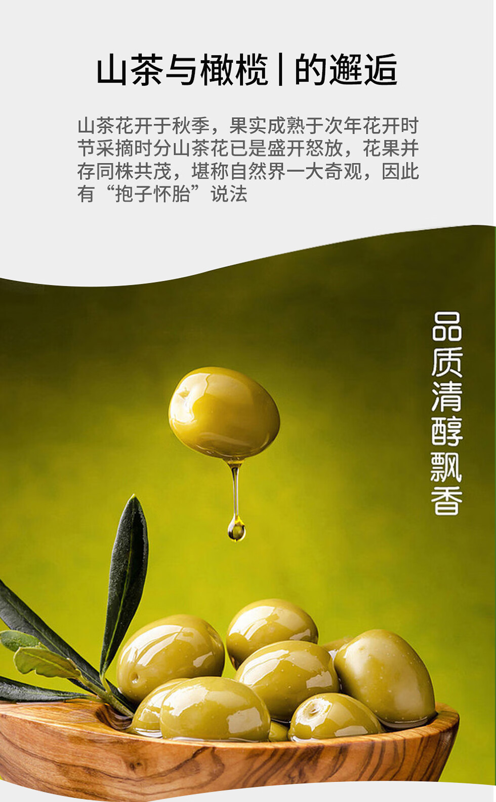 宫粮 山茶橄榄调和油 双重营养食用油 1.8L家庭装