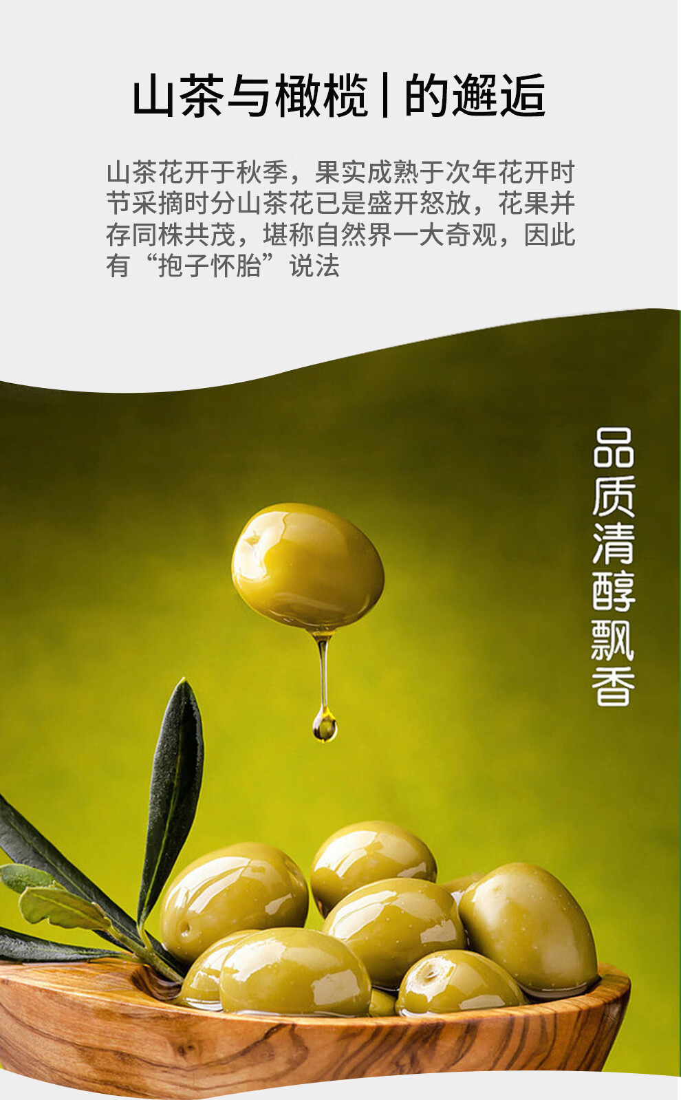 宫粮调和油 山茶橄榄调和油 双重营养食用油 1.8L家庭装