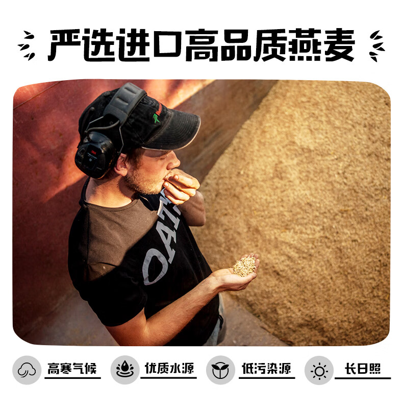OATLY 燕麦奶谷物早餐奶植物蛋白膳食纤维饮料 原味低脂燕麦奶250ml*6