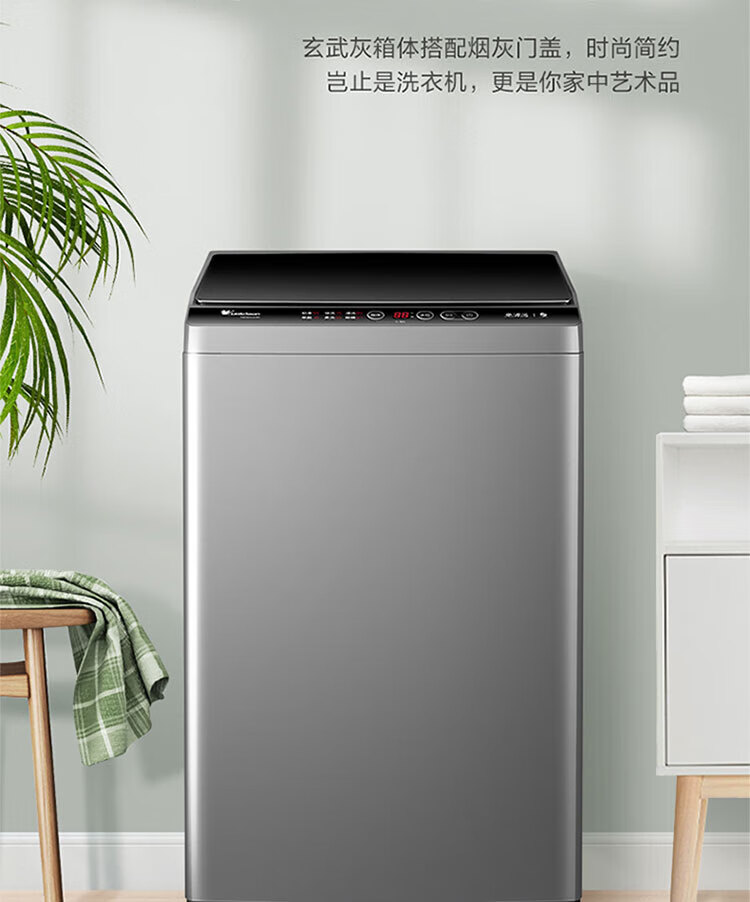小天鹅（LittleSwan）10公斤 波轮洗衣机全自动 健康免清洗TB100V23H