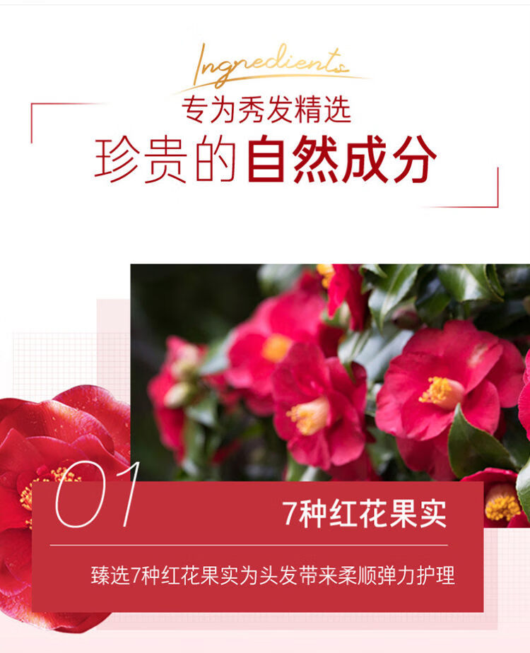 吕含光耀护营润修护护发乳400ml（红吕）