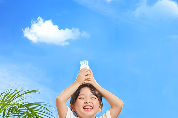 认养一头牛纯牛奶250ml*12盒*2提 早餐营养纯牛奶健康纯牛奶