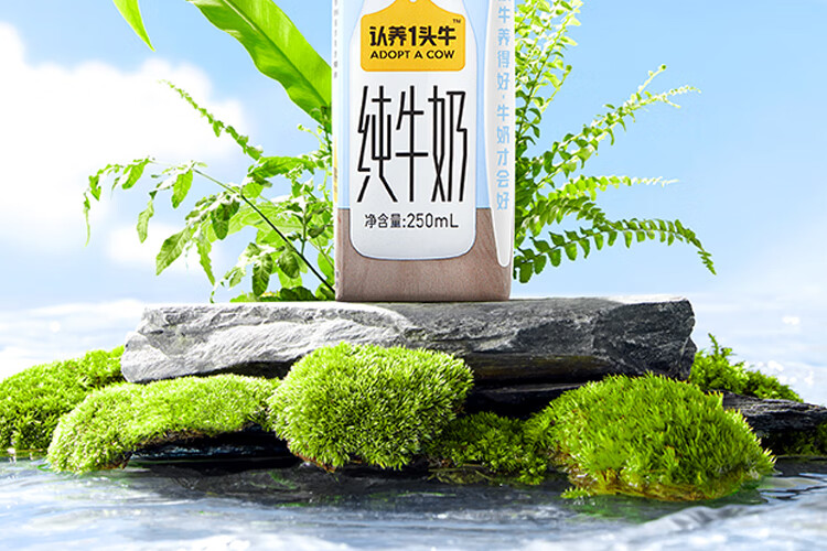认养一头牛纯牛奶250ml*12盒*2提 早餐营养纯牛奶健康纯牛奶