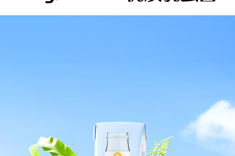 认养一头牛纯牛奶250ml*12盒*2提 早餐营养纯牛奶健康纯牛奶