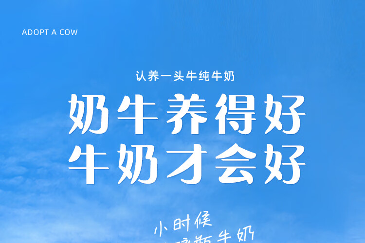 认养一头牛纯牛奶250ml*12盒*2提 早餐营养纯牛奶健康纯牛奶