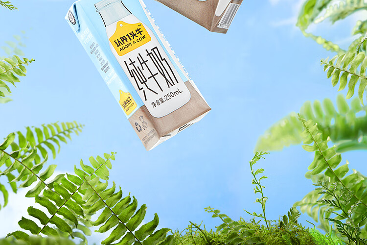 认养一头牛纯牛奶250ml*12盒*2提 早餐营养纯牛奶健康纯牛奶