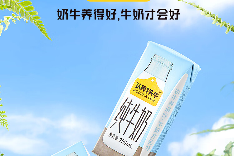 认养一头牛纯牛奶250ml*12盒*2提 早餐营养纯牛奶健康纯牛奶