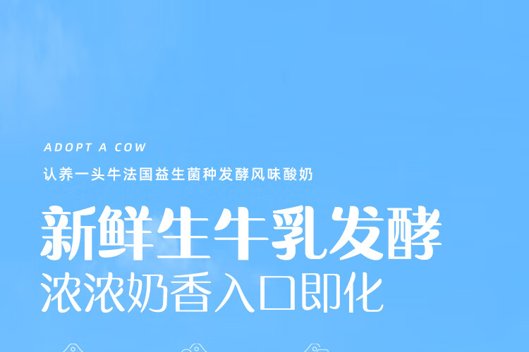 认养一头牛常温酸奶200g*12盒*2提 常温原味法式风味酸奶
