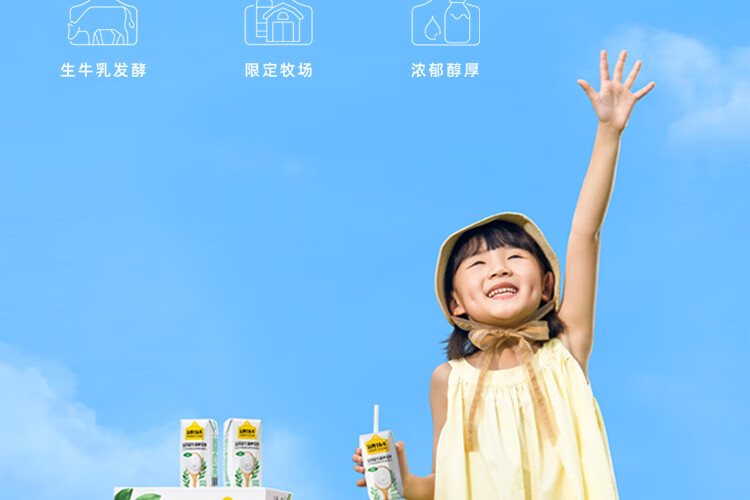 认养一头牛常温酸奶200g*12盒*2提 常温原味法式风味酸奶