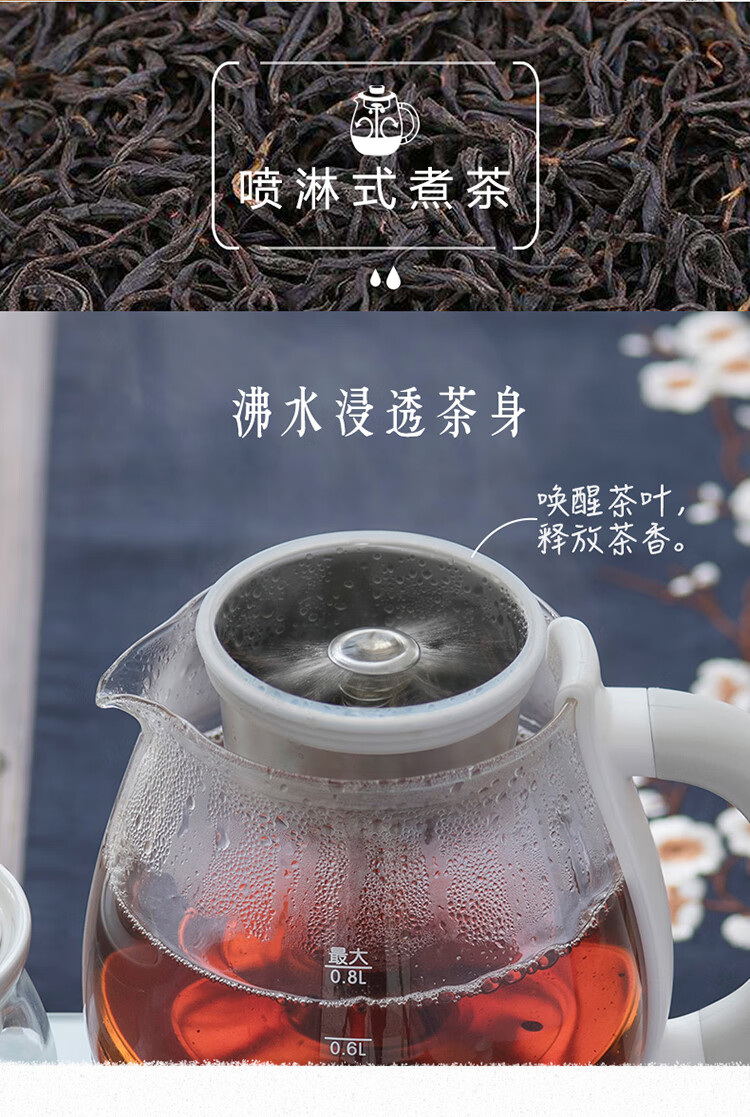 小熊（Bear）煮茶器ZCQ-A08E1   煮茶壶 0.8L蒸汽喷淋式蒸茶壶 养生壶 电水壶 热水壶