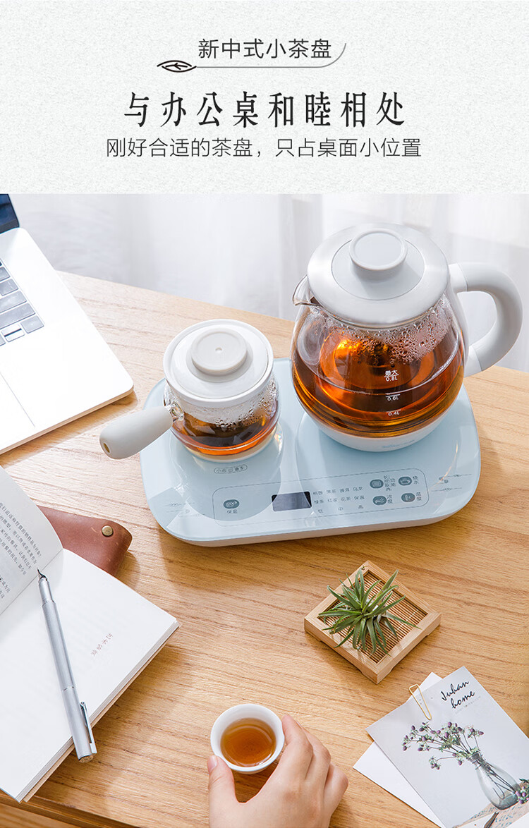 小熊（Bear）煮茶器ZCQ-A08E1   煮茶壶 0.8L蒸汽喷淋式蒸茶壶 养生壶 电水壶 热水壶