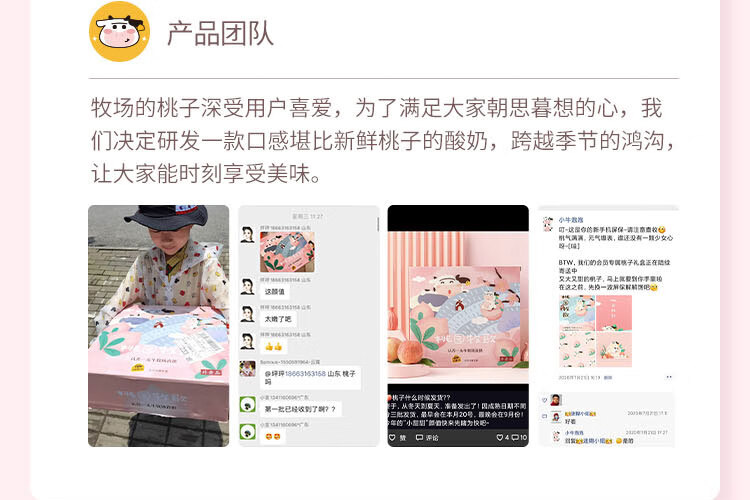 认养一头牛法式风味高端酸奶白桃燕麦味230g*10瓶*2提