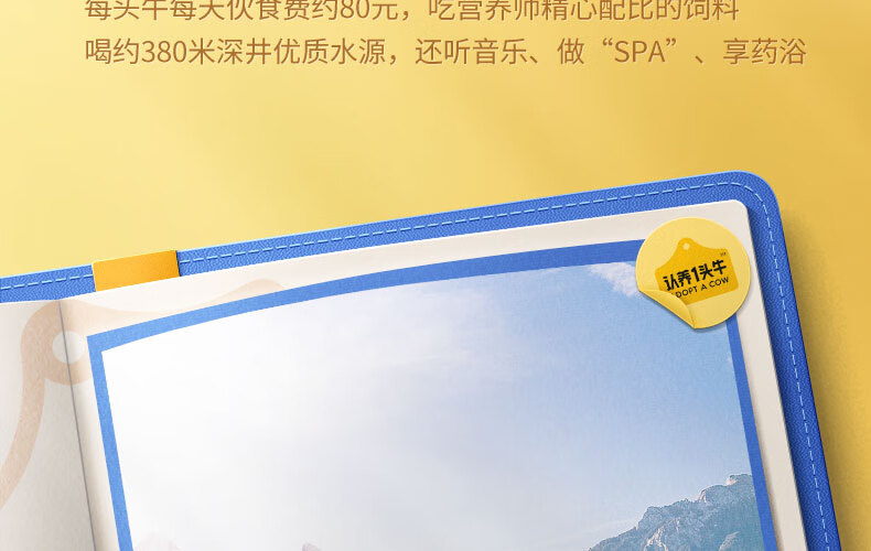 认养一头牛A2β-酪蛋白高端营养早餐奶纯牛奶250ml*10盒*2提