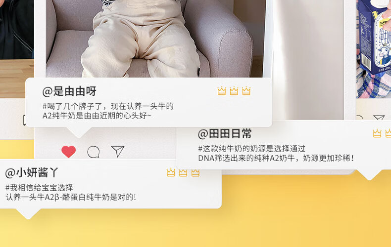 认养一头牛A2β-酪蛋白高端营养早餐奶纯牛奶250ml*10盒*2提