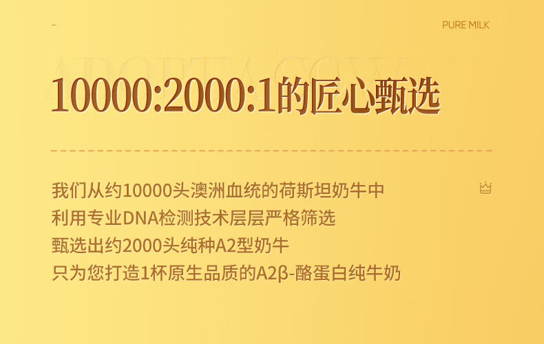 认养一头牛A2β-酪蛋白高端营养早餐奶纯牛奶250ml*10盒*2提