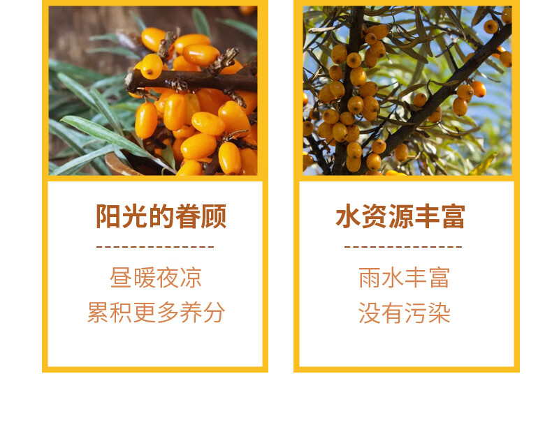 吕梁野山坡沙棘汁礼盒装（40%果汁含量）300ml*12瓶