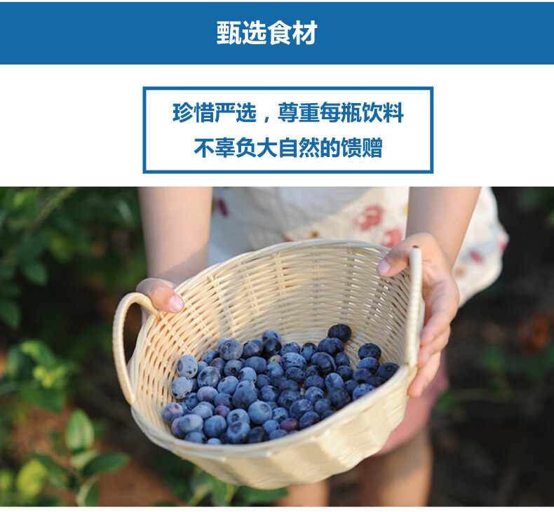 吕梁野山坡圆瓶蓝莓汁 果汁饮料玻璃瓶装350ml 6瓶装