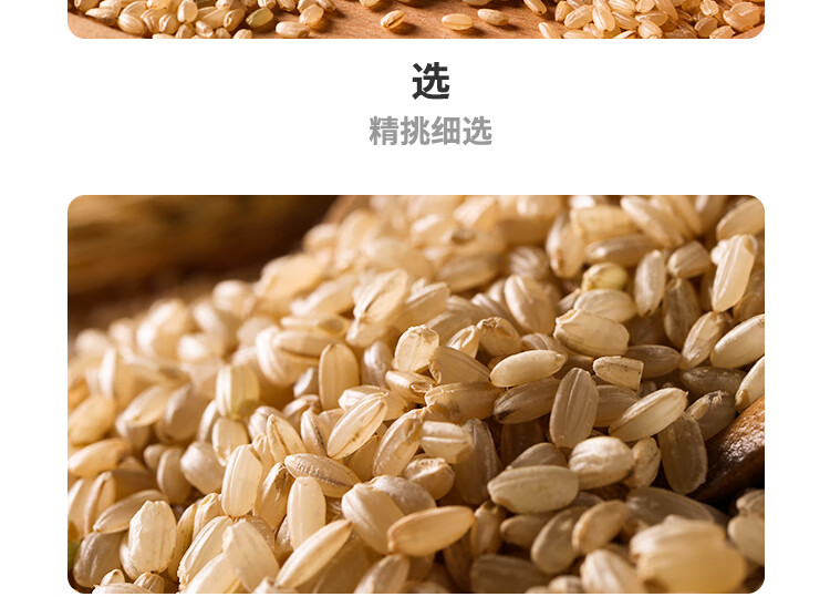 燕之坊杂粮有机糙米400g