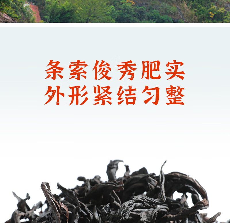 得一茶 茗茶茶叶  武夷大红袍袋装100g