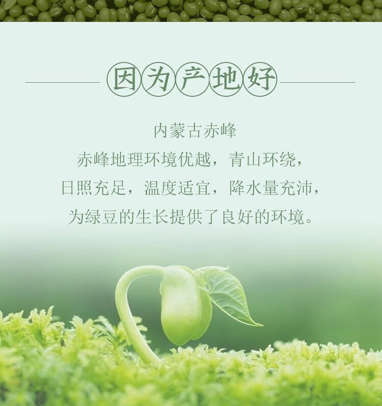 燕之坊草原小绿豆五谷杂粮粗粮460g