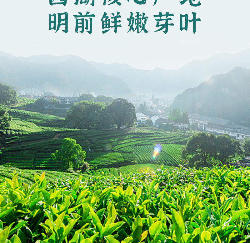 得一茶 茗茶茶叶  西湖龙井茶袋装100g