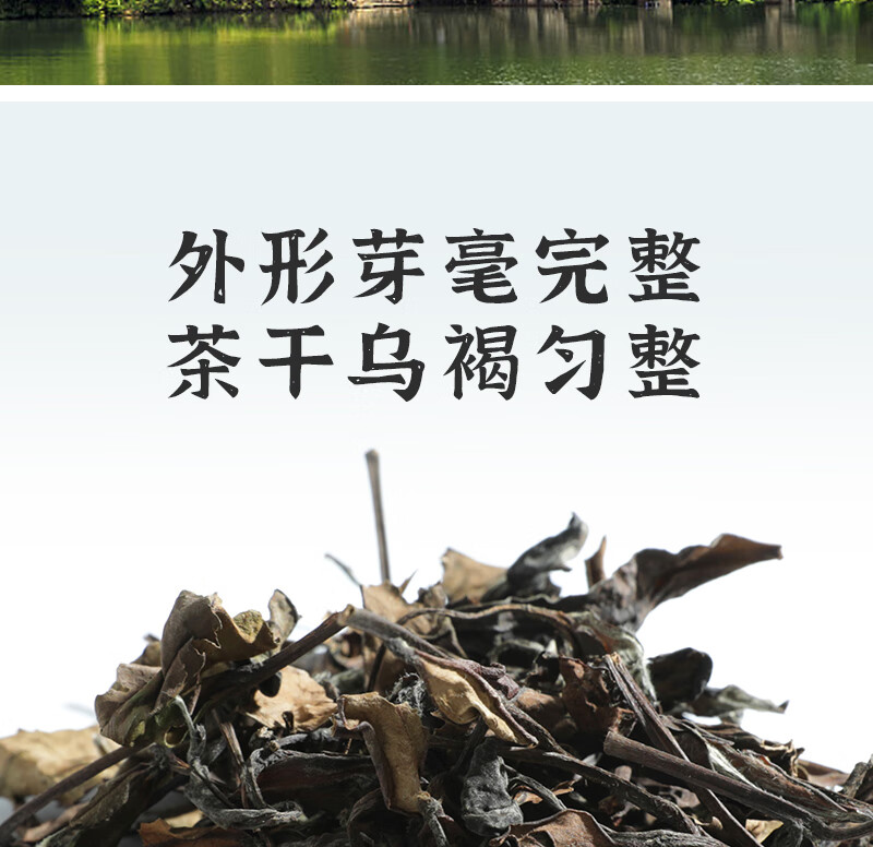 得一茶 茗茶茶叶  福鼎老白茶袋装250g