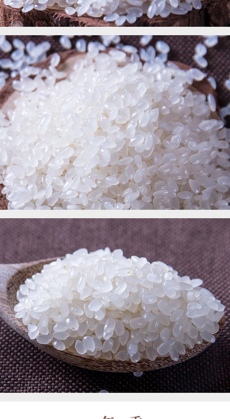 十月稻田 5kg 东北大米