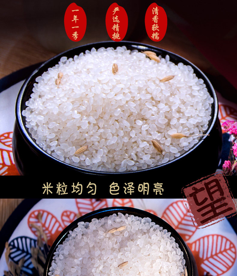 十月稻田寒地珍珠米5kg（编织袋）
